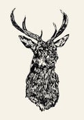 Image of STAG HEAD MMXII