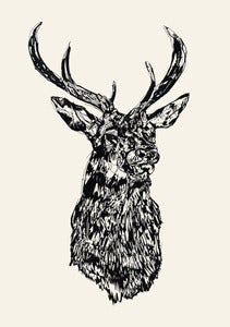 Image of STAG HEAD MMXII