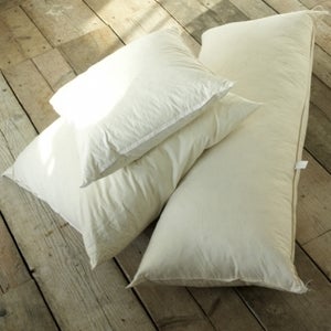 Image of Feather Cushion Inner