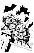 Image of TEENAGE MUTANT NINJA TURTLES - COVER BLK/WHT