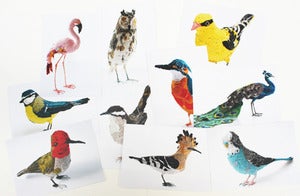 Image of Set of 10 postcards