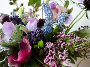 Image of COOL & DELICATE