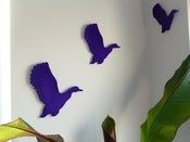 Flying Ducks