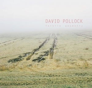 Image of Fertile Geometry by David Pollock