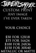 Image of CUSTOM METALLIC PRINTS (LARGE) 12x18 16x24 24x36 30x40