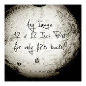 Image of Any 4 Images from the Collection- 12x12 Inch Prints