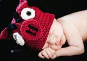 Image of Arkansas Razorback