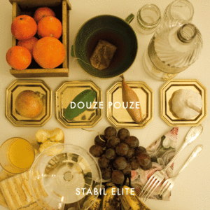Image of STABIL ELITE - DOUZE POUZE (CD)