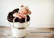 Image of Little Lamb Hat