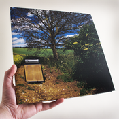 Image of Stubb LP