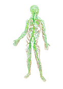 Image of Algaculture drawing A4 high quality print (limited edition of 20)
