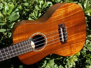 Image of Kala Golden Acacia Concert w/ Bag
