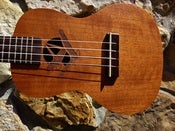 Image of aNueNue World Mahogany Series Eagle