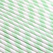 Image of Mint Green Striped Paper Straws
