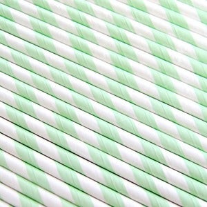 Image of Mint Green Striped Paper Straws
