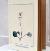 Image of botanicals notebook II