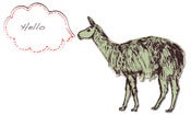 Image of Llama magnet
