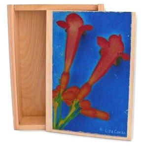 Image of KEEPSAKE BOX: Trumpet Vine. 