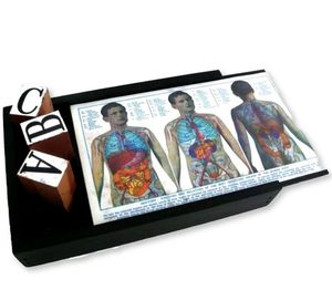 Image of KEEPSAKE BOX: Anatomy guy
