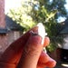 View image 2