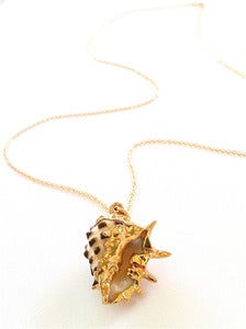 Image of Gold Dipped Drupe Shell Necklace