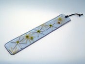 Image of Daisies in Blue Colour Bar