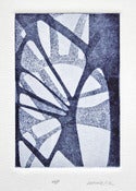Image of Palm