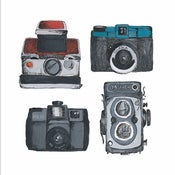 Image of Set of all four