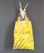 Image of Its in the Bag Medium