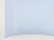 Image of pillow aqua