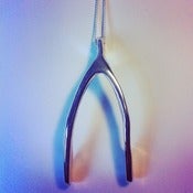 Image of Wishbone Necklace