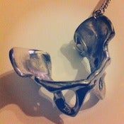 Image of Hip Bones Necklace