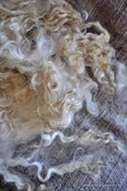 Image of Vilte workshop [ Wild Fibres ] Wild White mix