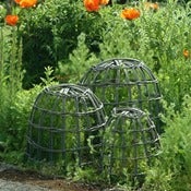 Image of Daisy Hardcastle Set of 3 Willow Cloches