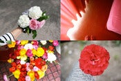 Image of you don't bring me flowers : set of 4 postcards