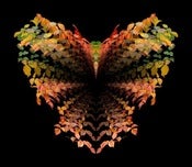 Image of Photograph, 'ALWAYS Choose Joy' 2012; "DIGITAL" Series