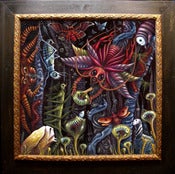Image of "INSECTUS"  ~ Version #1 ~ Mounted & Framed Limited Edition