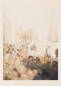 Image of Dawn Press - Green Chair