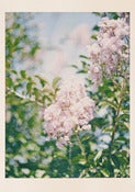 Image of Dawn Press - Pink Flowers2