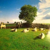 Image of KLF-Chill Out 12" Vinyl/ Rare-Out Of Print