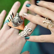 Image of Mounted Bear Ring
