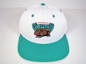 Image of GRIZZLES SNAPBACK