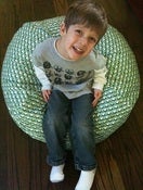 Image of brd bean bag cover