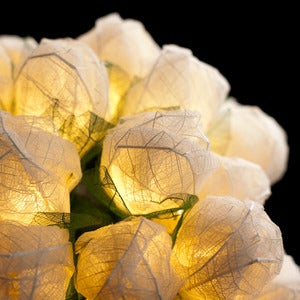 Image of Daisy Hardcastle Indoor /out door Rose Buds String Fairy Lights Summer Garden