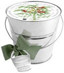 Image of Mini Pail Gardens