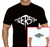 Image of Official Tiger Star Logo Shirt