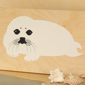 Image of Harp Seal Baby