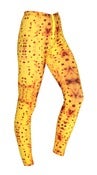Image of BANANA LEGGINGS