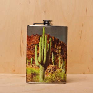 Image of Cacti