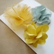 Image of spring meadow mixed set